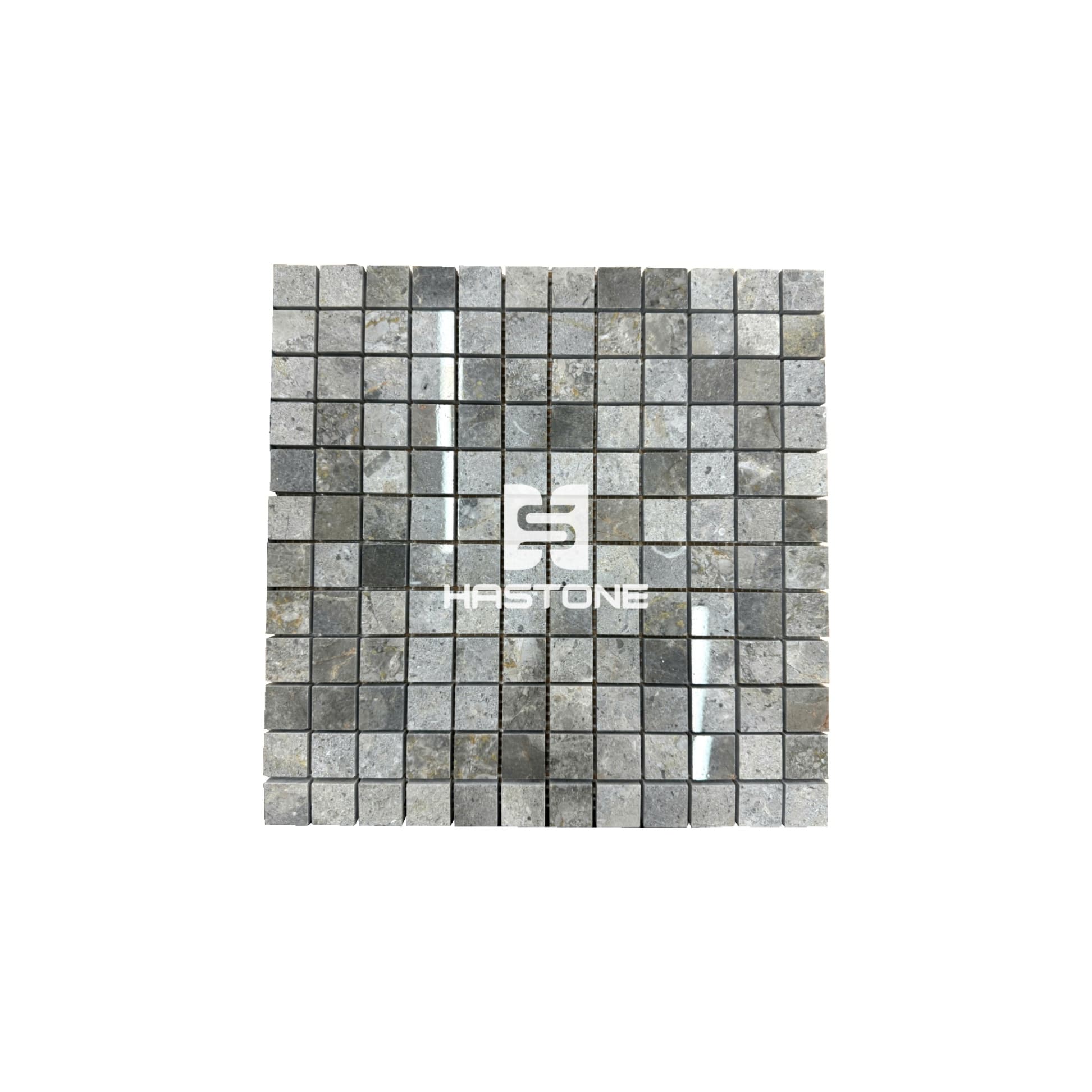 Multicolor Square 23x23 Polished Mosaic